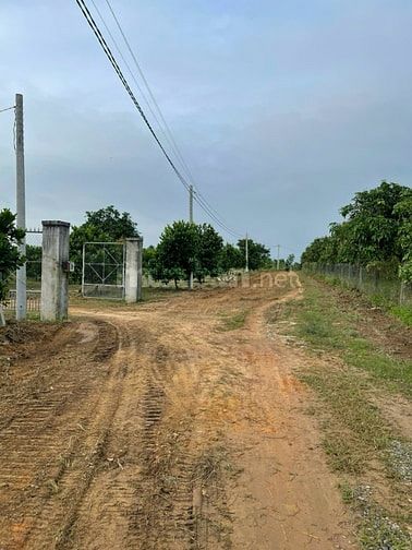 Bán gấp lô đất nhà vườn 710 triệu/ 1000m2 tại Đồng Nai