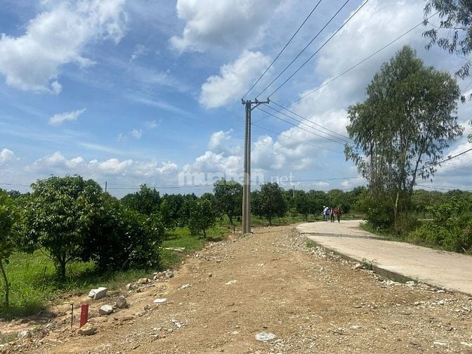 Bán gấp lô đất nhà vườn 710 triệu/ 1000m2 tại Đồng Nai