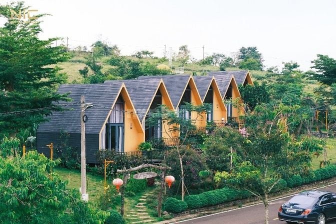 NHÀ PHI THUYỀN - HOMESTAY NGAY ĐỒI CHÈ TÂM CHÂU
