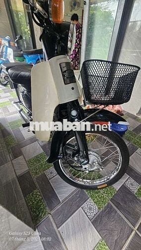 Cud 81 có đề bs60