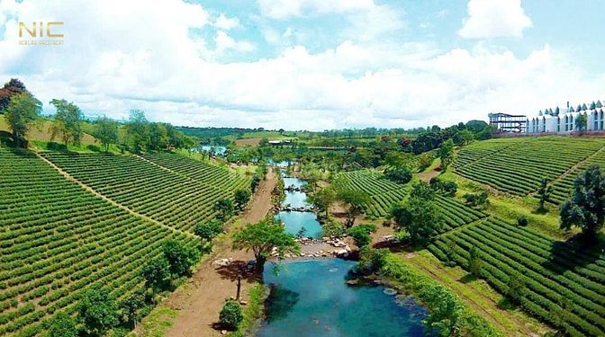 NHÀ PHI THUYỀN - HOMESTAY NGAY ĐỒI CHÈ TÂM CHÂU