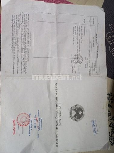Bán căn hộ chung cư tập thể 195 Nguyễn thái Học,quận 1.