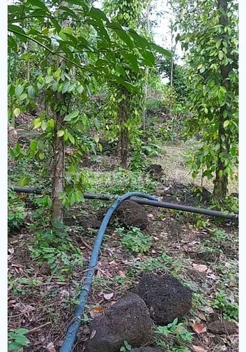 Bán đất xã Thanh Sơn Huyện Định Quán tỉnh Đồng Nai 2000m2 425 triệu 