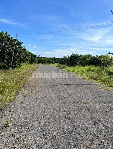 BÁN GẤP ĐẤT GẦN HỒ TRỊ AN, RẤT HỢP NGHỈ DƯỠNG, THIÊN NHIÊN TRONG LÀNH