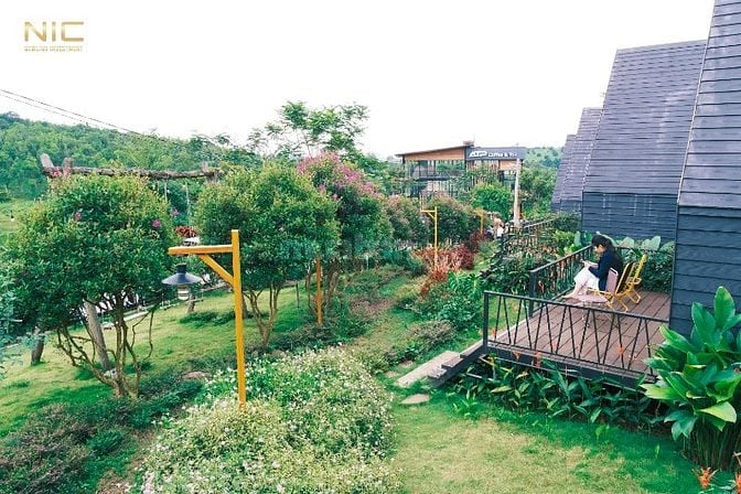 NHÀ PHI THUYỀN - HOMESTAY NGAY ĐỒI CHÈ TÂM CHÂU