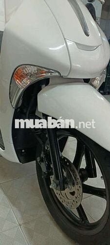 Janus mới tinh ký giấy tờ