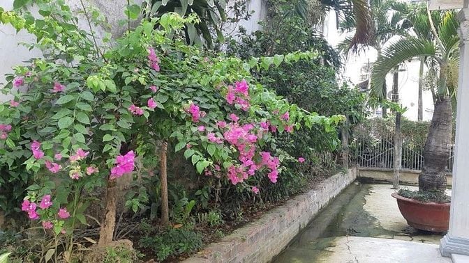Cho thuê nhà hẻm diện tích nhà hơn 200m2