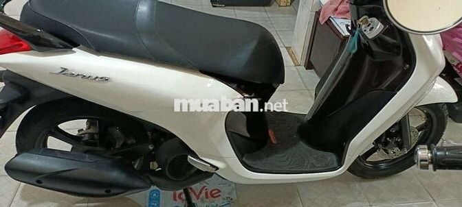 Janus mới tinh ký giấy tờ