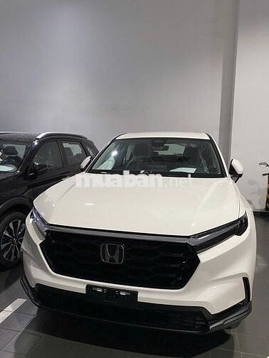 Honda CR V 2025 L Khuyến bảo hiểm + tiền mặt khủng