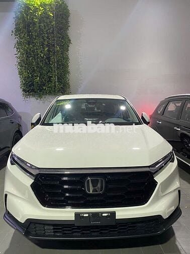 Honda CR V 2025 L Khuyến bảo hiểm + tiền mặt khủng
