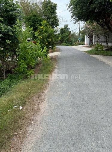CHỦ KẸT TIỀN BÁN GẤP LÔ ĐẤT Ở PHƯỚC HIỆP CỦ CHI GIÁ 500TR 150M2