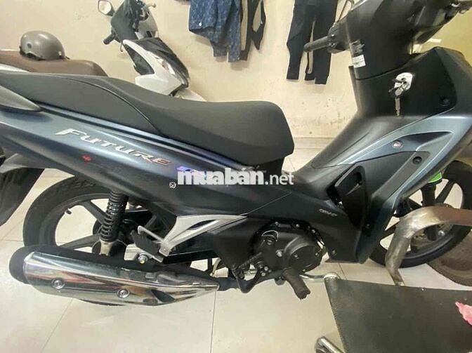 xe future led 2024