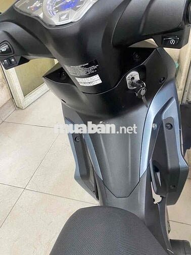 xe future led 2024