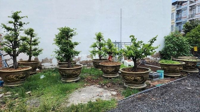 SỞ HỮU NGAY LÔ ĐẤT ĐẸP THỔ CƯ TẠI THẠNH XUÂN 22 – Q12 