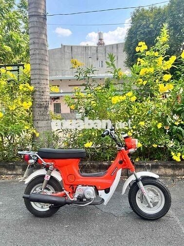 honda chaly