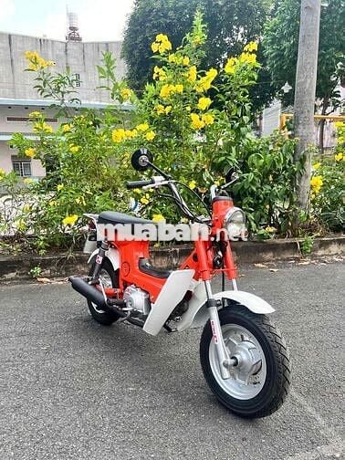honda chaly