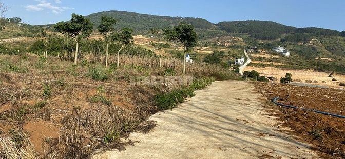 Bán 150m2 đất Đông Thanh chỉ 430 triệu, cách đường nhựa 500m