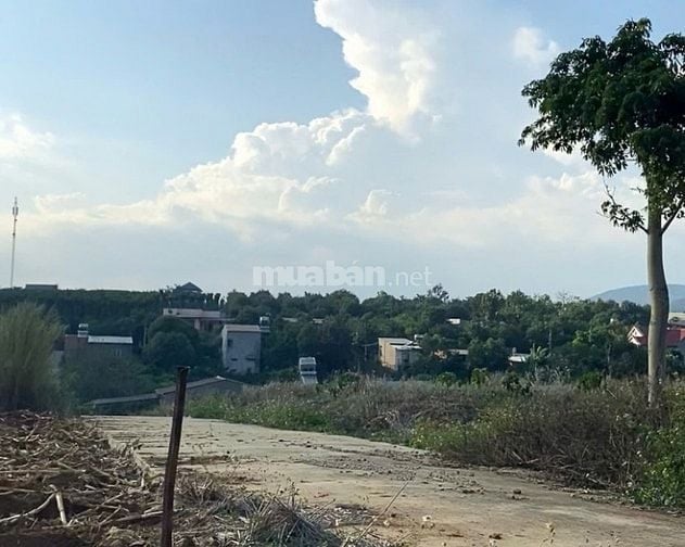 Bán 150m2 đất Đông Thanh chỉ 430 triệu, cách đường nhựa 500m
