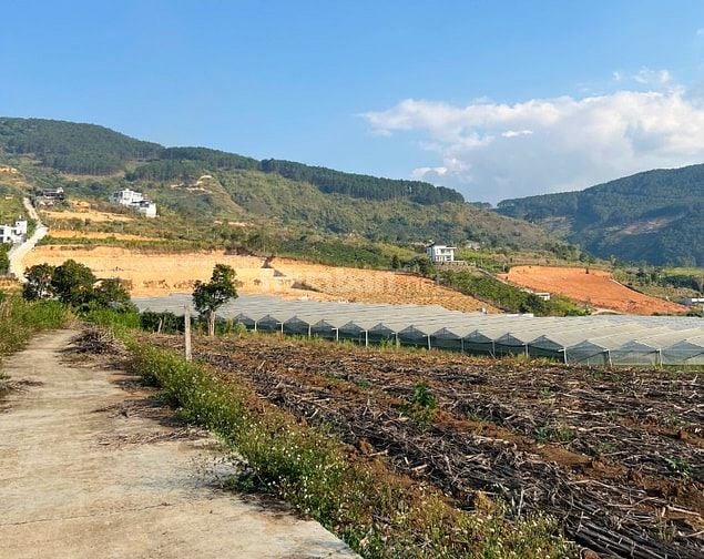 Bán 150m2 đất Đông Thanh chỉ 430 triệu, cách đường nhựa 500m