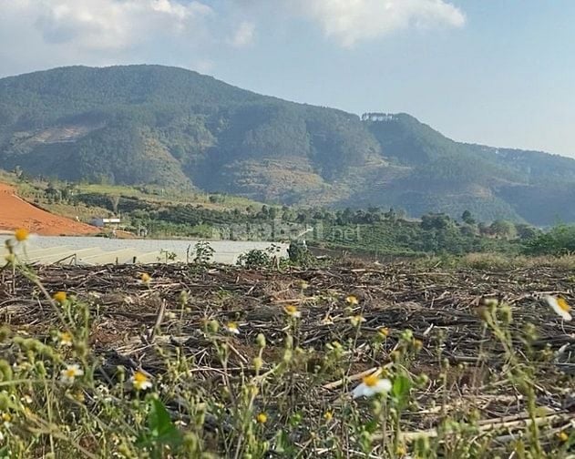 Bán 150m2 đất Đông Thanh chỉ 430 triệu, cách đường nhựa 500m