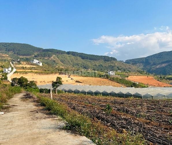 Bán 150m2 đất Đông Thanh chỉ 430 triệu, cách đường nhựa 500m