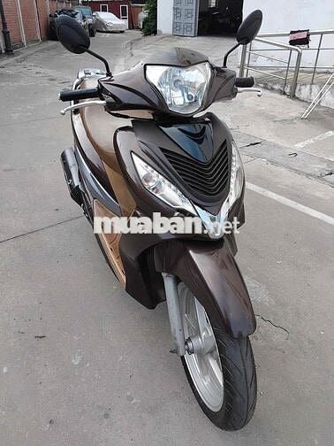 XE GIÁ RẺ