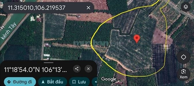 Bán ĐẤT CAO SU 4.3 ha (3TY3/ha TL thiện chí) cạnh kênh Tây, KCN Chà Là