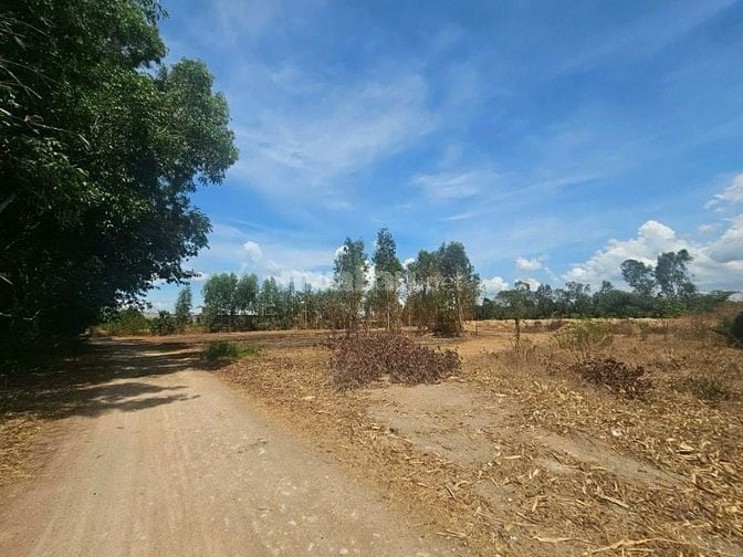 Công ty Đấu giá hợp danh Lam Sơn Sài Gòn THÔNG BÁO ĐẤU GIÁ TÀI SẢN