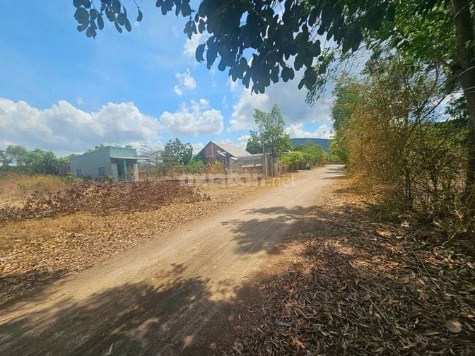 Công ty Đấu giá hợp danh Lam Sơn Sài Gòn THÔNG BÁO ĐẤU GIÁ TÀI SẢN