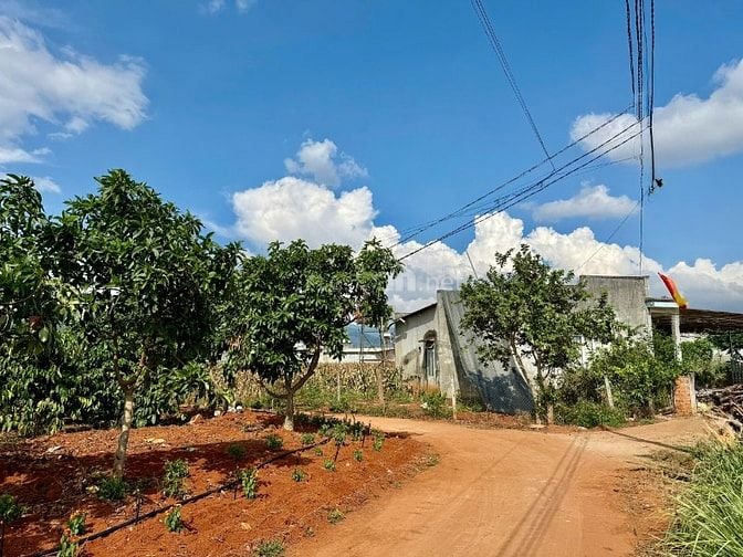 Cách hồ Bãi Công 100m, bán 335m2 đất ở đô thị, ngang 12m, SHR