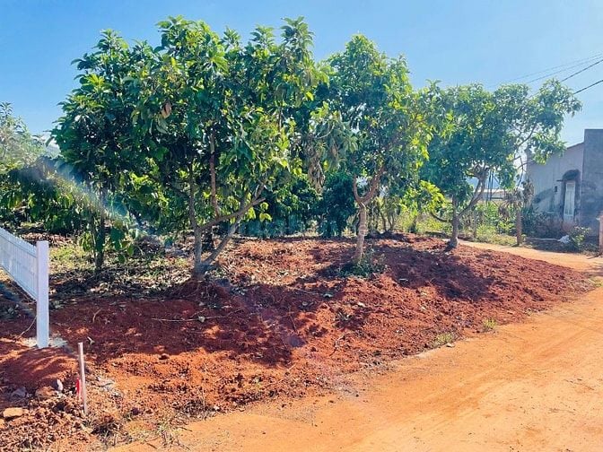 Cách hồ Bãi Công 100m, bán 335m2 đất ở đô thị, ngang 12m, SHR