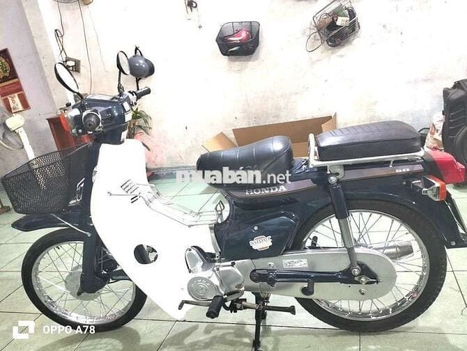 ♥️ Cub tum 50cc xe có đề honda Cub nhật ❤️