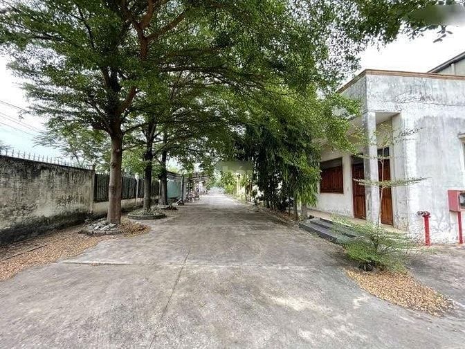 NHẬN KÝ GỬI KHO XƯỞNG – PHONG THÁI | TP.HCM & LONG AN 
