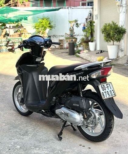 vision xe đẹp