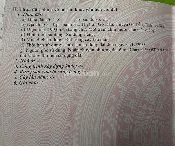 Trung tâm Thị Trấn Gò Dầu. Đất nở hậu 240tr 1m ngang
