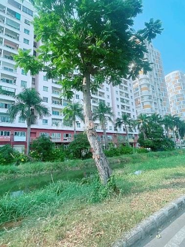 Tôi cần bán nền đất 126m2 đường 3A đối diện biệt thự ở KDC 13B Conic
