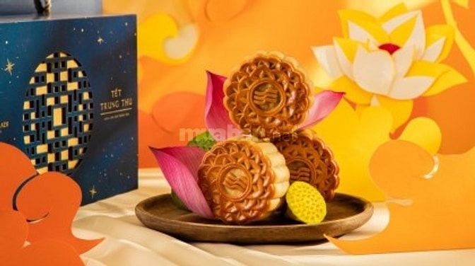 Khuôn bánh nhựa tạo hình logo theo yêu cầu