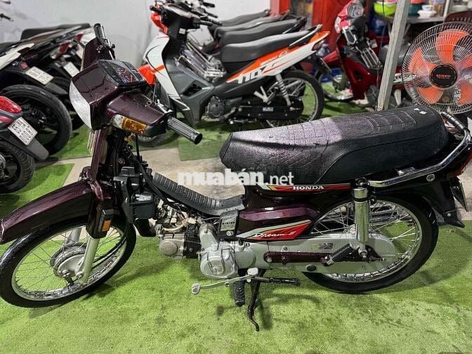 Dream Đài Tâm Huyết / Cực Đẹp Bs65