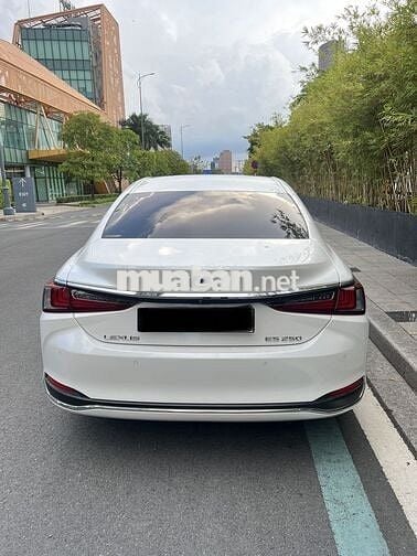 Lexus ES 2021 250 - 11000 km