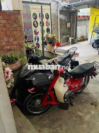 SIEU XE DD CUB ÊM RU CHẠY ĐI LÀM HÀNG NGÀY BIỂN557