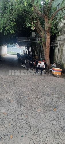Văn Phòng Đào Duy Anh, Phú Nhuận 