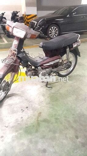 dream lun honda bstpho