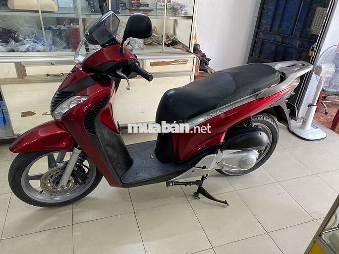 SH 150. Nhập ý
