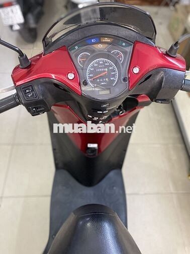 SH 150. Nhập ý