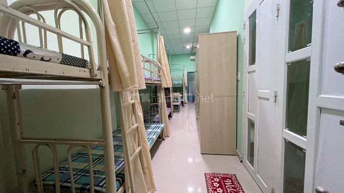 Cho thuê nguyên căn kinh doanh, ở hoặc cho thuê lại