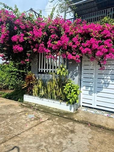 Bán gấp căn nhà ở Đường Hồ Văn Tắng , Củ Chi 124m2 SHR giá chỉ 715tr