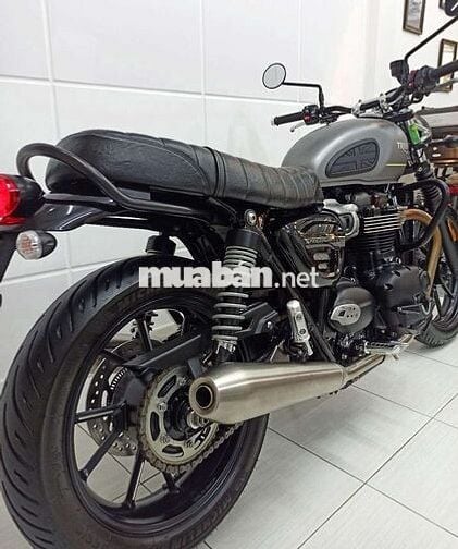 Triumph Speed Twin 2023 cọp