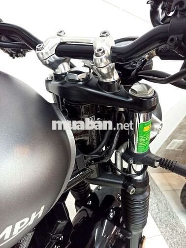 Triumph Speed Twin 2023 cọp