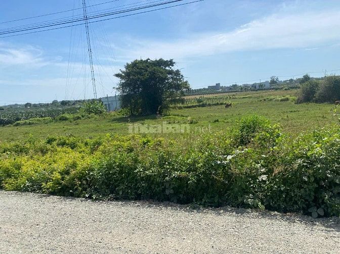 Bán 2,7 Sào Đất Lô 2 Đinh Công Tráng Tân Tiến Ngang 64x51 Gần Biển Giá