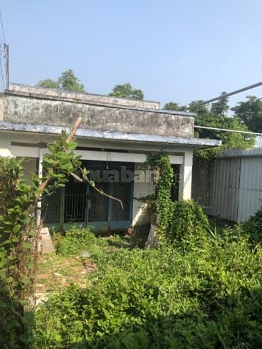 Bán nhà an Phú đông Q12 dt 23 x 5m